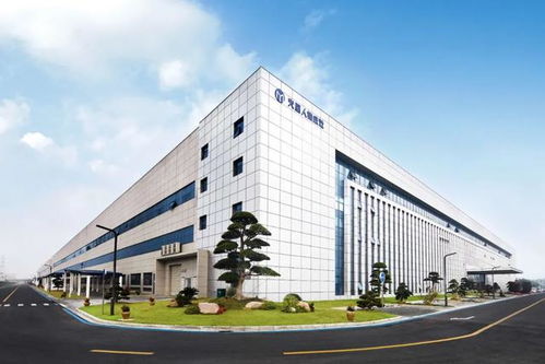 这一代新中产为何青睐技术服务